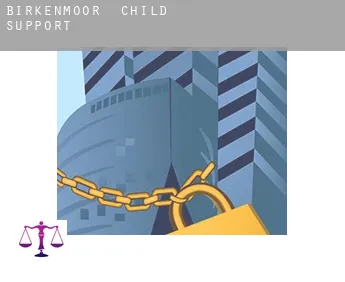 Birkenmoor  child support