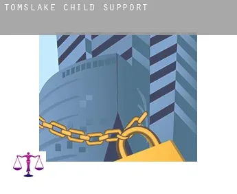 Tomslake  child support