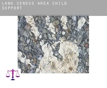 Lang (census area)  child support