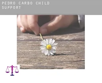 Pedro Carbo  child support