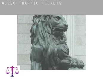 Acebo  traffic tickets