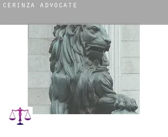 Cerinza  advocate