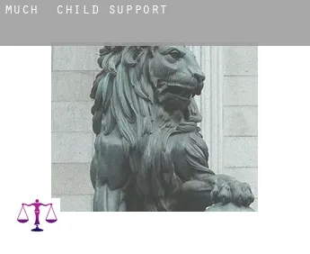 Much  child support