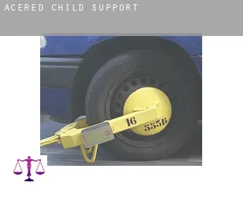 Acered  child support