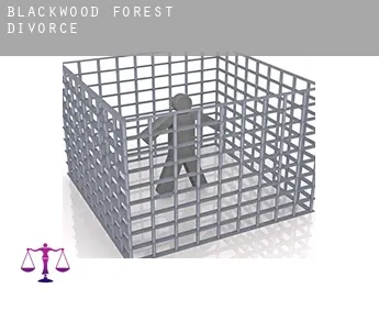 Blackwood Forest  divorce