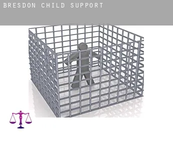 Bresdon  child support