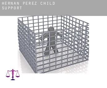 Hernán-Pérez  child support