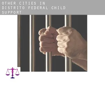 Other cities in Distrito Federal  child support