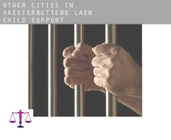 Other cities in Vaesterbottens Laen  child support