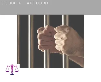 Te Huia  accident