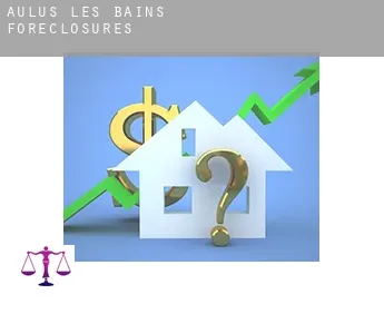 Aulus-les-Bains  foreclosures