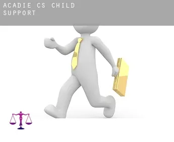 L'Acadie (census area)  child support