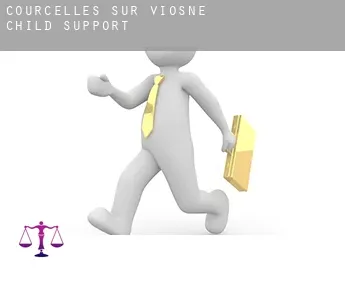 Courcelles-sur-Viosne  child support