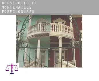 Busserotte-et-Montenaille  foreclosures