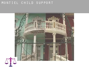 Montiel  child support