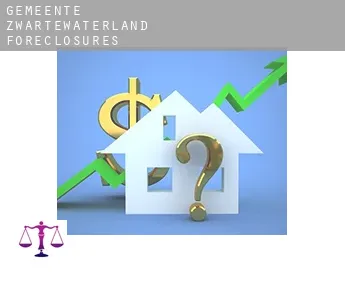 Gemeente Zwartewaterland  foreclosures