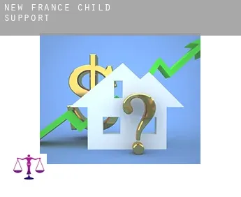 New France  child support