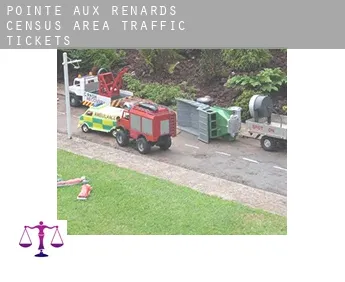 Pointe-aux-Renards (census area)  traffic tickets