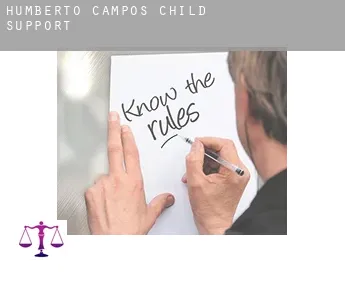 Humberto de Campos  child support