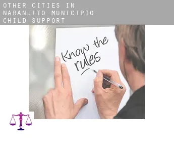 Other cities in Naranjito Municipio  child support
