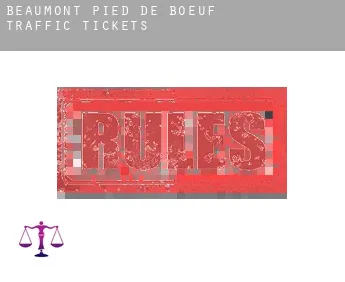 Beaumont-Pied-de-Bœuf  traffic tickets