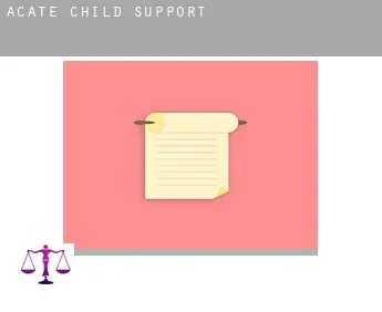 Acate  child support