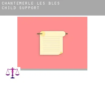 Chantemerle-les-Blés  child support