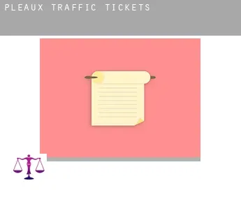 Pleaux  traffic tickets