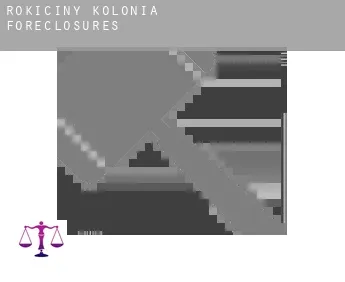 Rokiciny-Kolonia  foreclosures