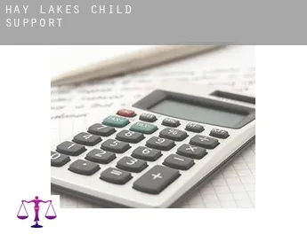 Hay Lakes  child support