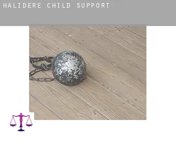 Halıdere  child support